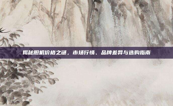 揭秘膽機價格之謎，市場行情,、品牌差異與選購指南