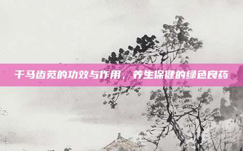 干馬齒莧的功效與作用,，養(yǎng)生保健的綠色良藥