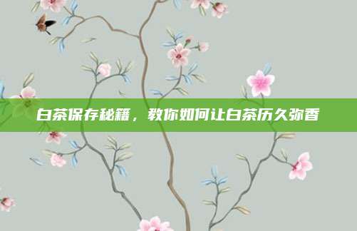 白茶保存秘籍，教你如何讓白茶歷久彌香