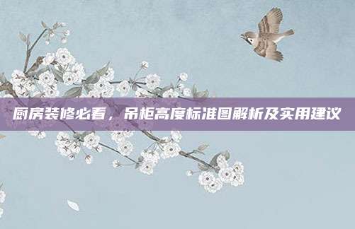 廚房裝修必看,，吊柜高度標(biāo)準(zhǔn)圖解析及實(shí)用建議