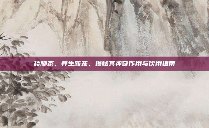 矮腳茶，養(yǎng)生新寵,，揭秘其神奇作用與飲用指南