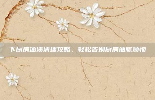 下廚房油漬清理攻略,，輕松告別廚房油膩煩惱