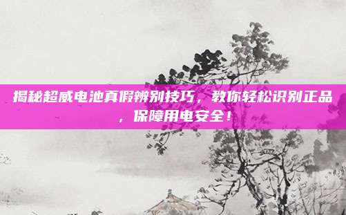 揭秘超威電池真假辨別技巧,，教你輕松識別正品，保障用電安全,！