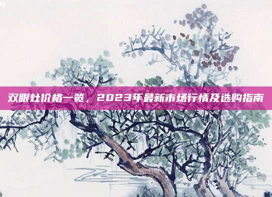雙眼灶價(jià)格一覽,，2023年最新市場行情及選購指南