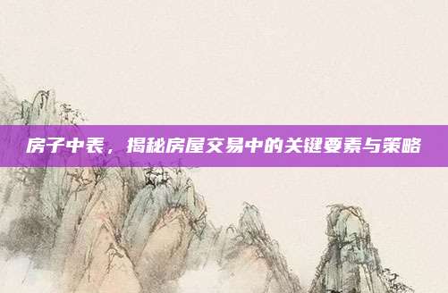 房子中表,，揭秘房屋交易中的關(guān)鍵要素與策略
