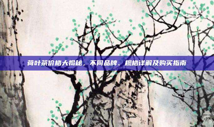 荷葉茶價格大揭秘,，不同品牌,、規(guī)格詳解及購買指南