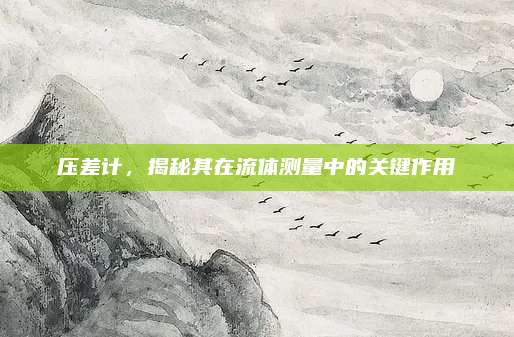 壓差計,，揭秘其在流體測量中的關(guān)鍵作用