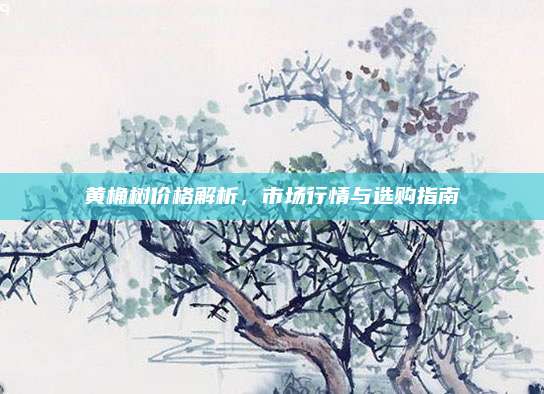 黃桷樹價格解析，市場行情與選購指南