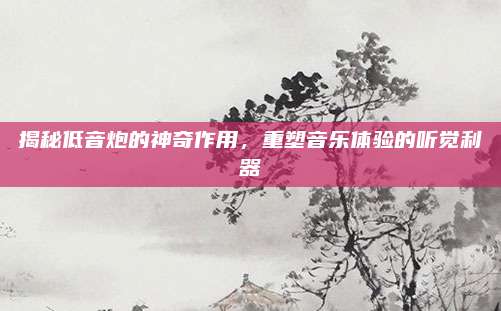 揭秘低音炮的神奇作用,，重塑音樂(lè)體驗(yàn)的聽(tīng)覺(jué)利器
