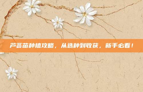 蘆薈苗種植攻略，從選種到收獲,，新手必看,！