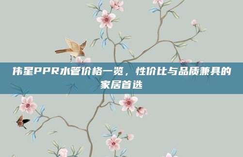 偉星PPR水管價格一覽，性價比與品質(zhì)兼具的家居首選