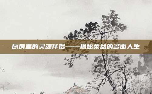 廚房里的靈魂伴侶——揭秘菜盆的多面人生
