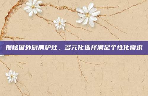 揭秘國外廚房爐灶，多元化選擇滿足個(gè)性化需求