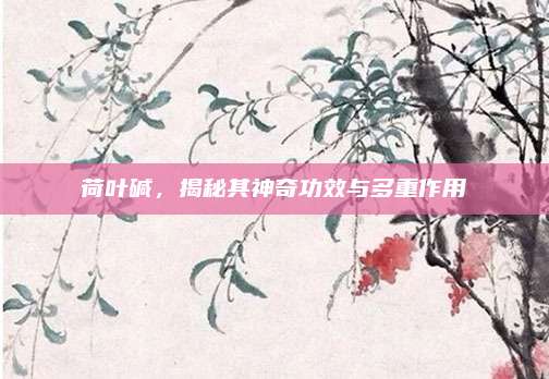荷葉堿,，揭秘其神奇功效與多重作用