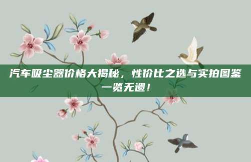 汽車吸塵器價(jià)格大揭秘,，性價(jià)比之選與實(shí)拍圖鑒一覽無遺,！