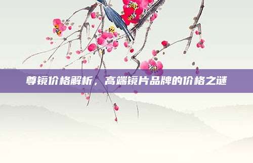 尊鏡價(jià)格解析，高端鏡片品牌的價(jià)格之謎