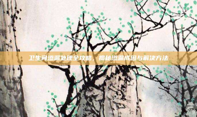 衛(wèi)生間滲漏處理全攻略，揭秘滲漏成因與解決方法
