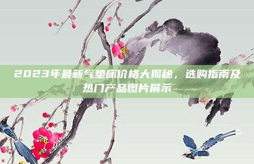2023年最新氣墊床價(jià)格大揭秘，選購(gòu)指南及熱門(mén)產(chǎn)品圖片展示