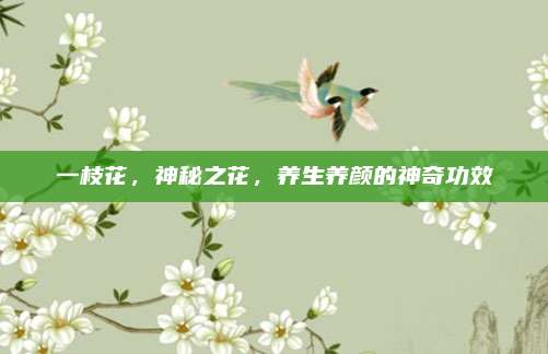 一枝花，神秘之花,，養(yǎng)生養(yǎng)顏的神奇功效