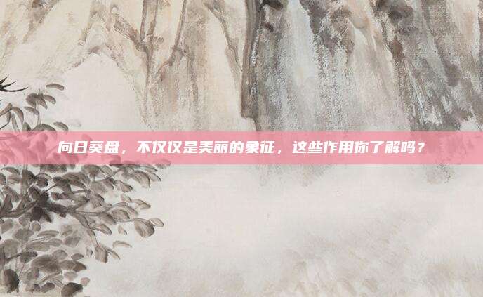 向日葵盤(pán)，不僅僅是美麗的象征,，這些作用你了解嗎,？