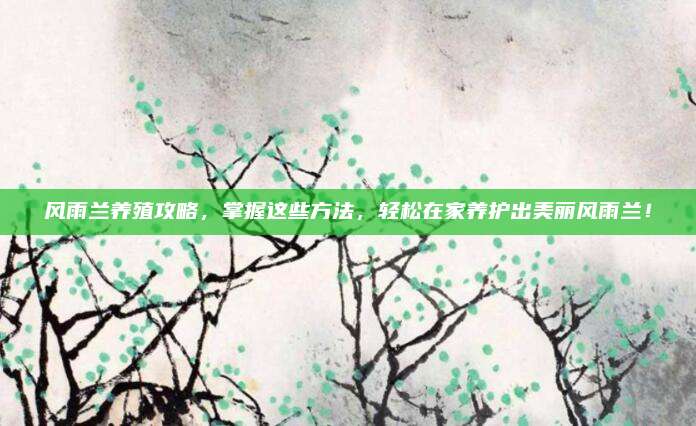 風(fēng)雨蘭養(yǎng)殖攻略,，掌握這些方法,，輕松在家養(yǎng)護(hù)出美麗風(fēng)雨蘭！
