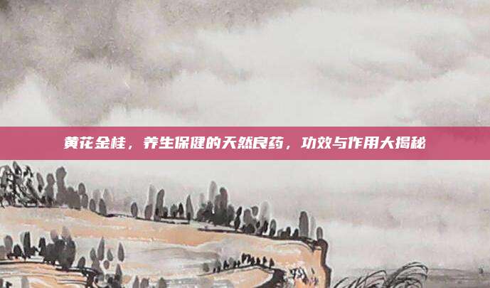 黃花金桂,，養(yǎng)生保健的天然良藥，功效與作用大揭秘