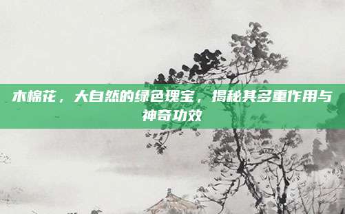 木棉花,，大自然的綠色瑰寶,，揭秘其多重作用與神奇功效