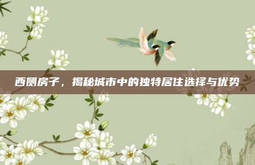 西側(cè)房子，揭秘城市中的獨(dú)特居住選擇與優(yōu)勢(shì)