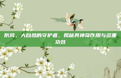 防風(fēng),，大自然的守護者，揭秘其神奇作用與多重功效