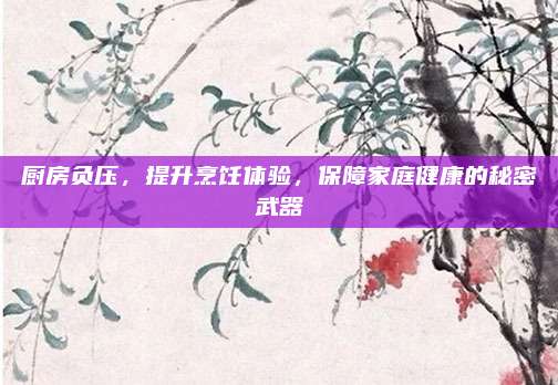 廚房負(fù)壓，提升烹飪體驗(yàn),，保障家庭健康的秘密武器