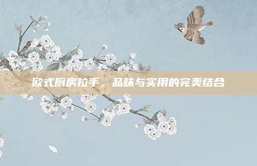 歐式廚房拉手，品味與實用的完美結(jié)合