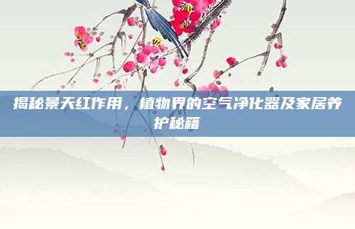 揭秘景天紅作用，植物界的空氣凈化器及家居養(yǎng)護(hù)秘籍