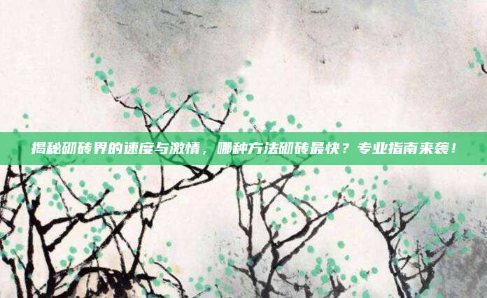 揭秘砌磚界的速度與激情,，哪種方法砌磚最快？專業(yè)指南來襲,！