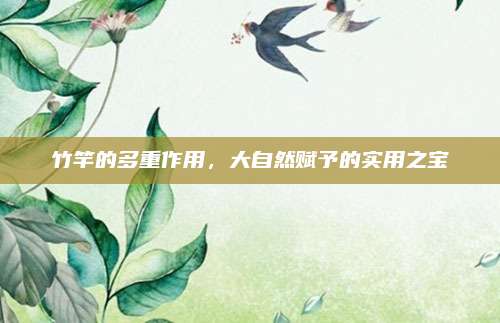 竹竿的多重作用,，大自然賦予的實用之寶