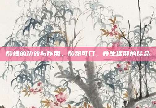 酸梅的功效與作用,，酸甜可口，養(yǎng)生保健的佳品