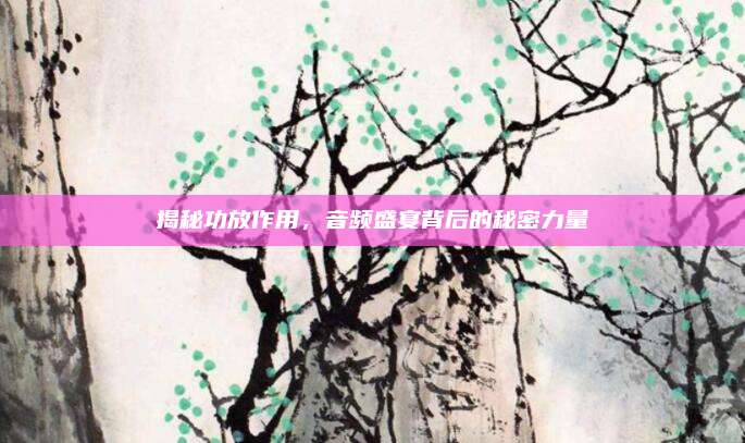 揭秘功放作用,，音頻盛宴背后的秘密力量