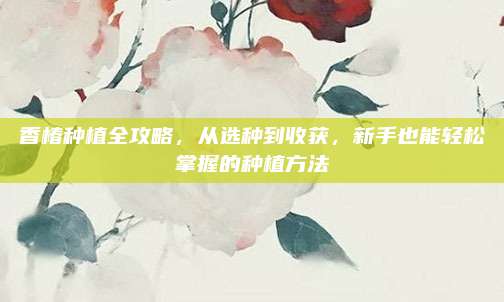 香椿種植全攻略,，從選種到收獲,，新手也能輕松掌握的種植方法