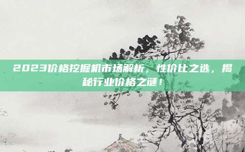 2023價格挖掘機(jī)市場解析，性價比之選,，揭秘行業(yè)價格之謎,！