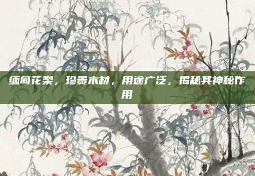 緬甸花梨,，珍貴木材，用途廣泛,，揭秘其神秘作用