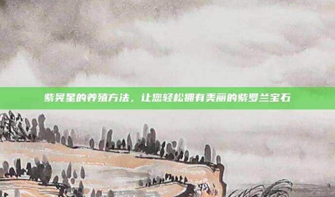 紫晃星的養(yǎng)殖方法，讓您輕松擁有美麗的紫羅蘭寶石