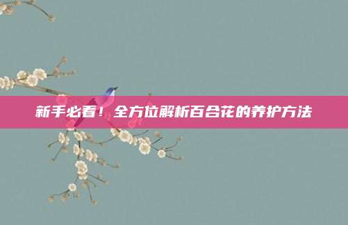 新手必看！全方位解析百合花的養(yǎng)護(hù)方法