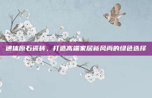 通體原石瓷磚，打造高端家居新風(fēng)尚的綠色選擇