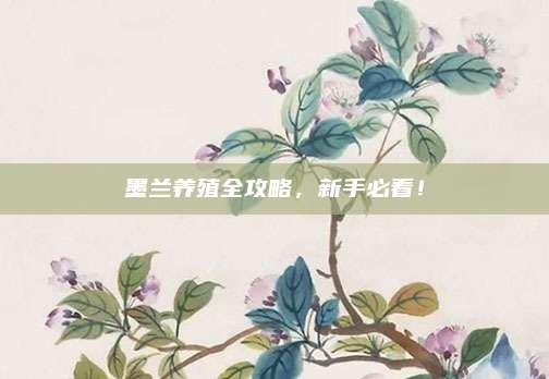 墨蘭養(yǎng)殖全攻略，新手必看！