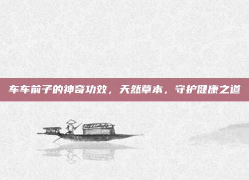 車車前子的神奇功效，天然草本，守護(hù)健康之道