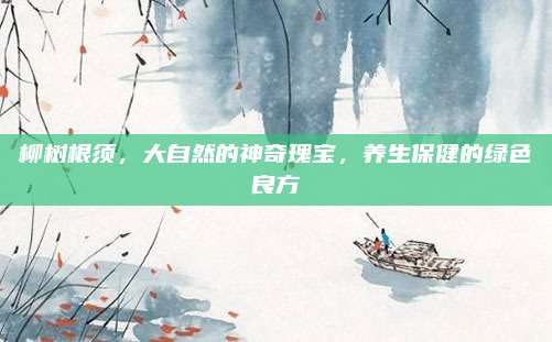 柳樹根須，大自然的神奇瑰寶，養(yǎng)生保健的綠色良方