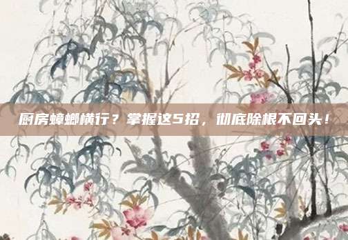 廚房蟑螂橫行？掌握這5招，徹底除根不回頭！