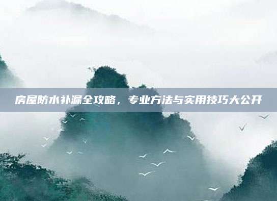 房屋防水補漏全攻略，專業(yè)方法與實用技巧大公開