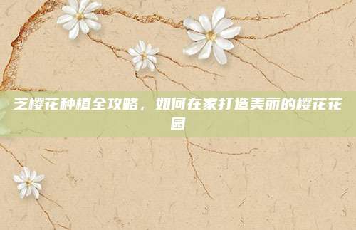 芝櫻花種植全攻略，如何在家打造美麗的櫻花花園