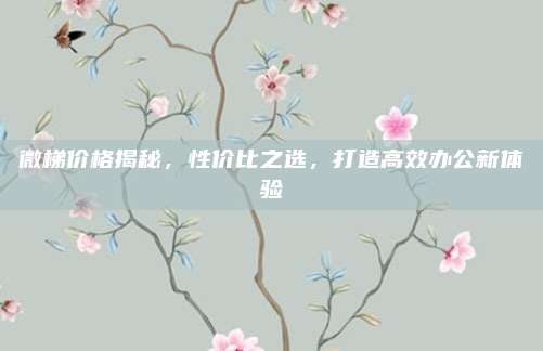 微梯價格揭秘，性價比之選，打造高效辦公新體驗(yàn)
