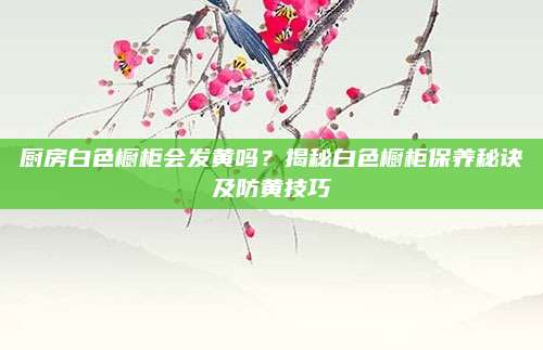廚房白色櫥柜會(huì)發(fā)黃嗎？揭秘白色櫥柜保養(yǎng)秘訣及防黃技巧